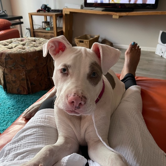 Meet your Posher, Phaedra - Picture 11 of 13